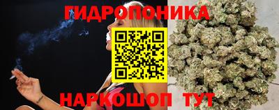 PSILOCYBIN Татарск