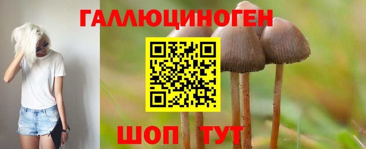 Псилоцибиновые грибы прущие грибы Нижнеудинск